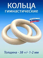 Кольца гимнастические 38 мм (без строп) Кольца гимнастические 38 мм (без строп)