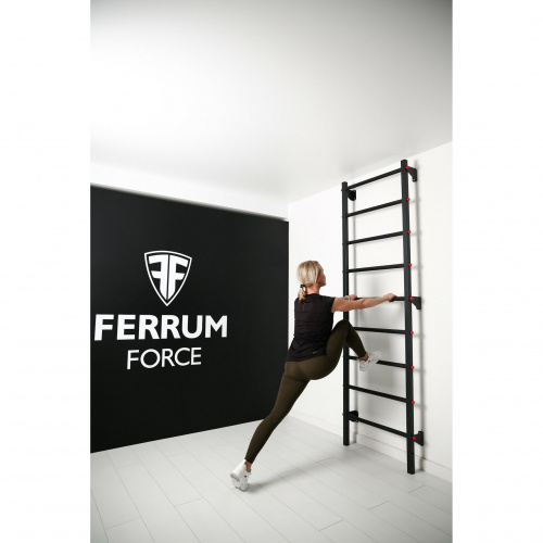 Лестница Ferrum Force F фото 4