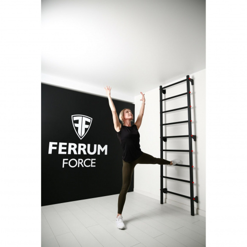 Лестница Ferrum Force F фото 3