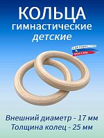 Кольца гимнастические детские 25 мм (без строп) Кольца гимнастические детские 25 мм (без строп)