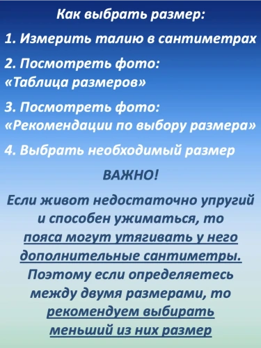 Пояс с карабином, 2 слоя, 10 см (без логотипа) фото 4